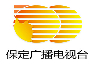 保定新聞綜合頻道臺(tái)標(biāo)