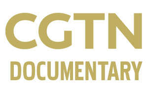 CGTN紀(jì)錄頻道臺標(biāo)