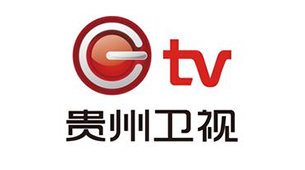 貴州衛(wèi)視臺標(biāo)