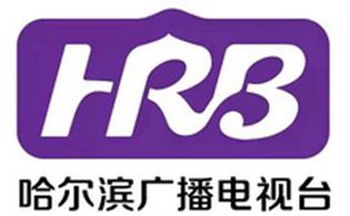 哈爾濱新聞綜合頻道臺(tái)標(biāo)