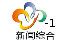 武漢新聞綜合頻道臺標(biāo)